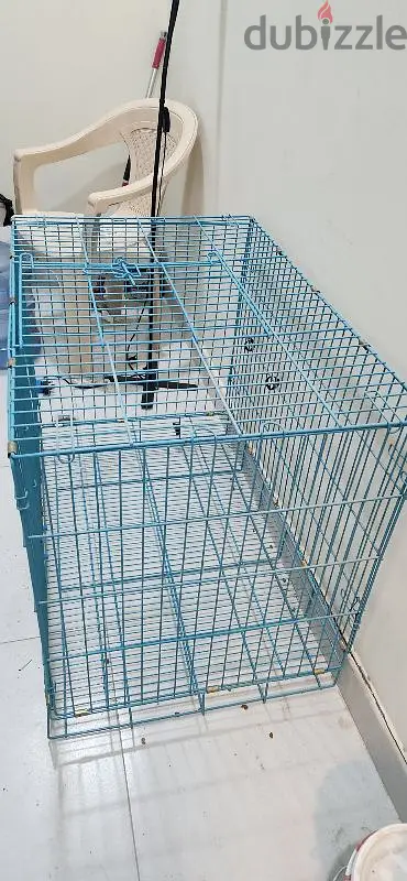 dog cage for sale