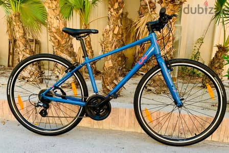 29" Giant Hybrid Bike