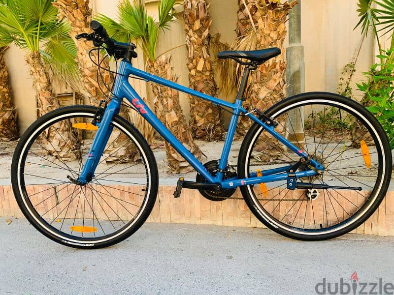 29" Giant Hybrid Bike 1
