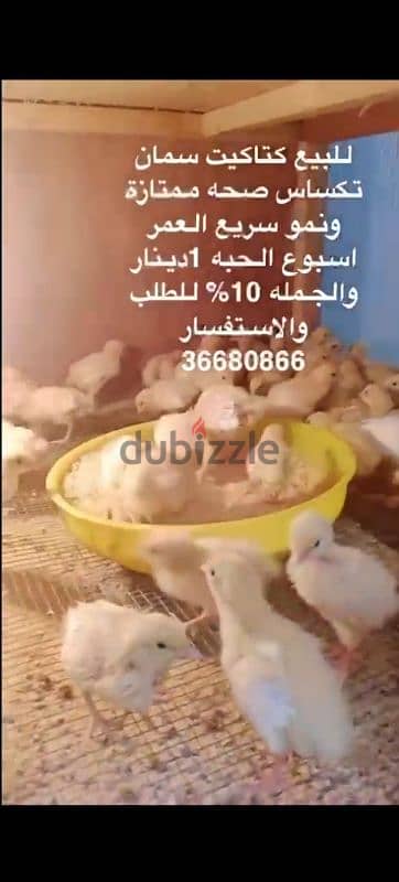 شرق الحد