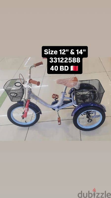 tricycle & bicycle 1