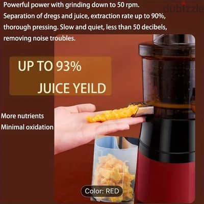 Hilton Slow Juicer, Cold Press
