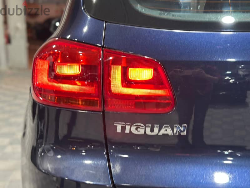 Tiguan 12