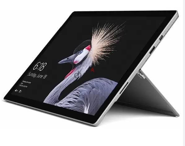 Surface Pro covers and bags 2
