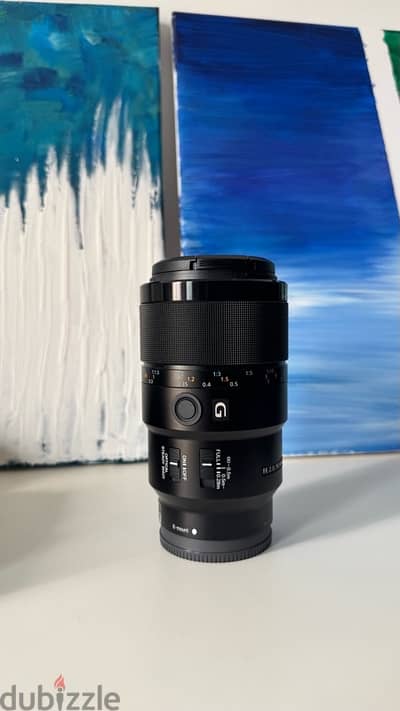 Sony FE 90mm f/2.8 G Macro – super sharp lense