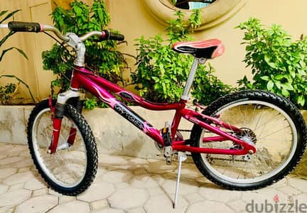 20" Gary fisher