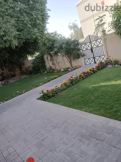 garden maintenance