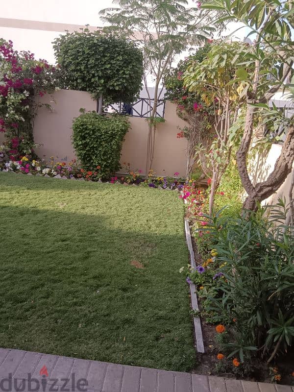 garden maintenance 1