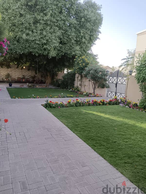 garden maintenance 2