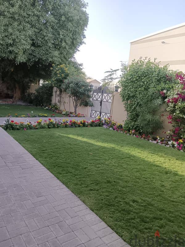 garden maintenance 3