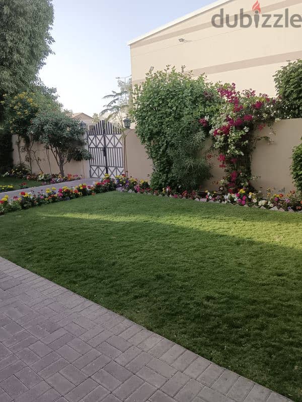 garden maintenance 4