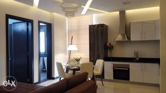 luxury stylish 1 b/r fully furnished apartment