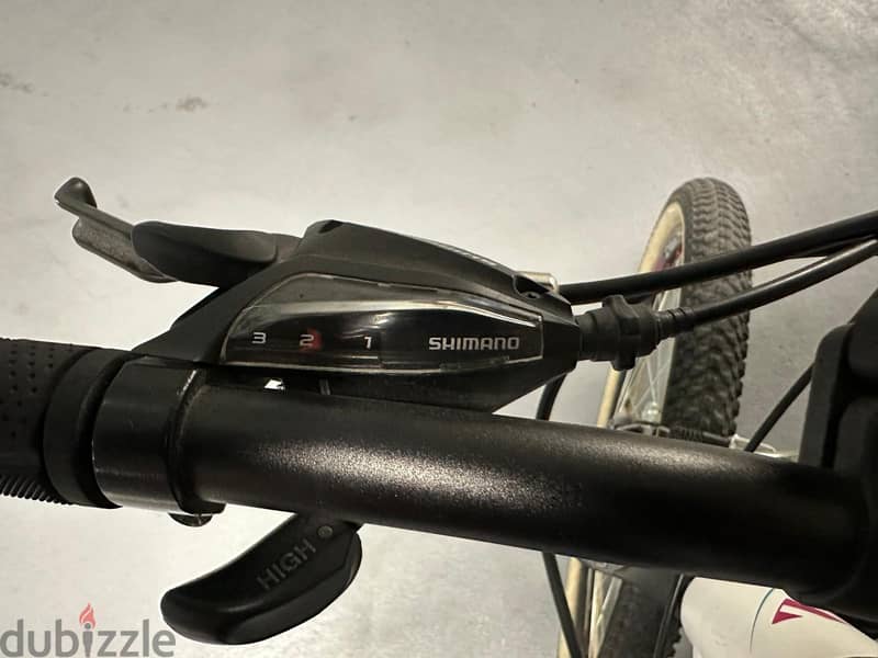 Welt Edelweiss Bicycle Special Teen Series 3