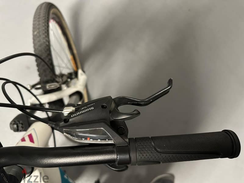 Welt Edelweiss Bicycle Special Teen Series 4