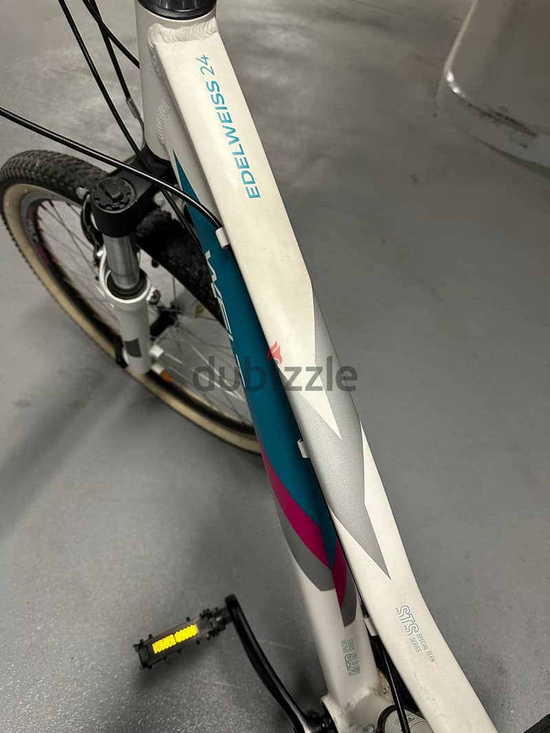 Welt Edelweiss Bicycle Special Teen Series 5