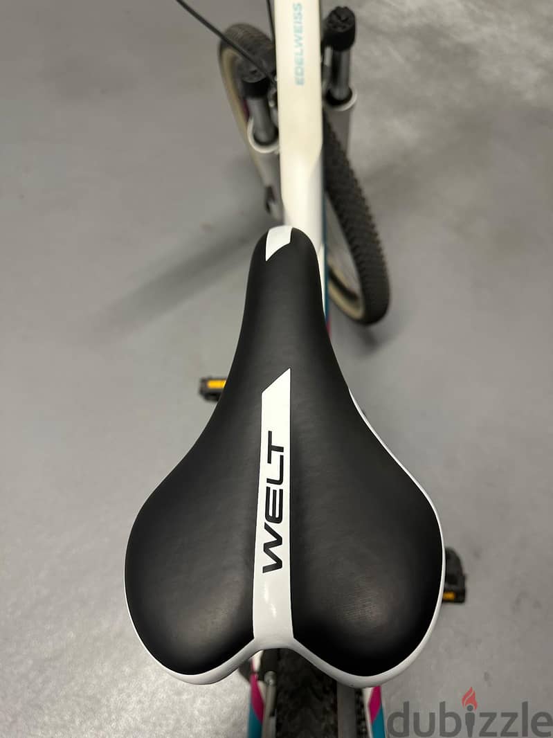 Welt Edelweiss Bicycle Special Teen Series 6