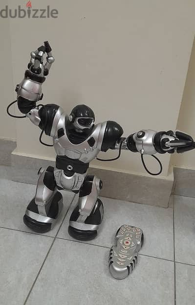 Robot