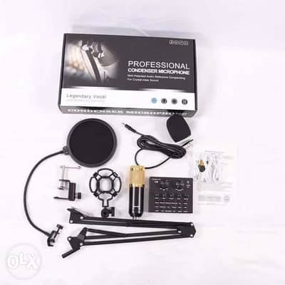 V8 sound card +professional condenser microphone and stand