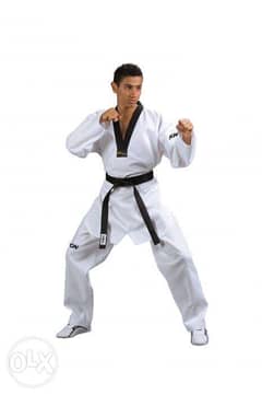 Taekwondo (Kwon)Poom and Black Neck  Suits Available 0