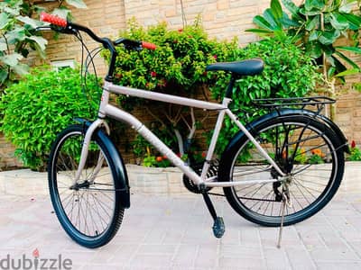 Cruise Bike
