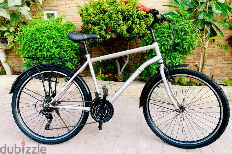 Cruise Bike 1