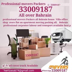 Bestbh carefuly Moving packing professional mover packer 0
