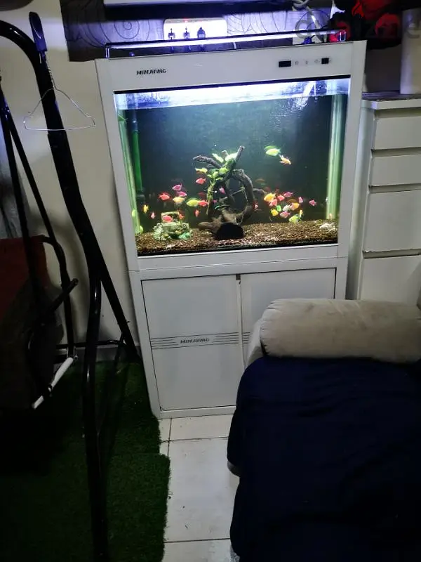 fish tank with stand