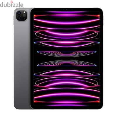 iPad Pro 4th generation 11-Inch 2022 Space Gray Cellular with Magic KB