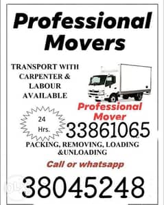 Profishinal Movers and packers 0