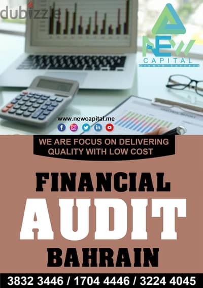 Assets Revenues For Financial Audit !!