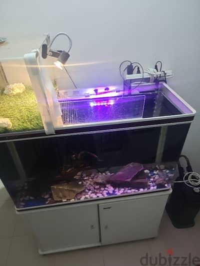 Aquarium / Turtle Tank