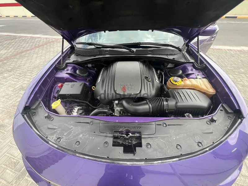 Dodge Charger 2019 RT65689500734850124