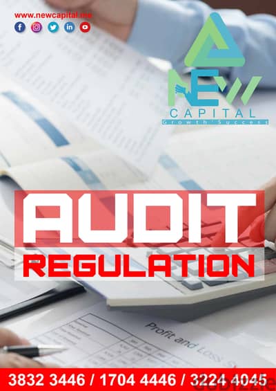 Audit Regulation