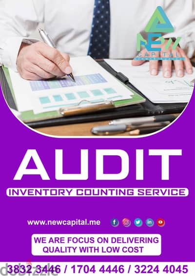 Audit Inventory Counsulting Service