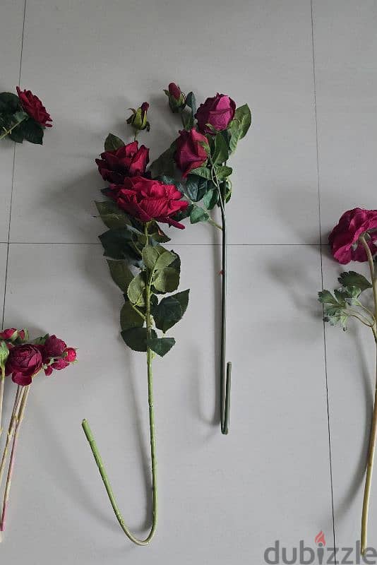 Flowers high quality 2