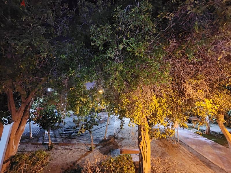 hot Deal 3 Bedrooms in prime location 7