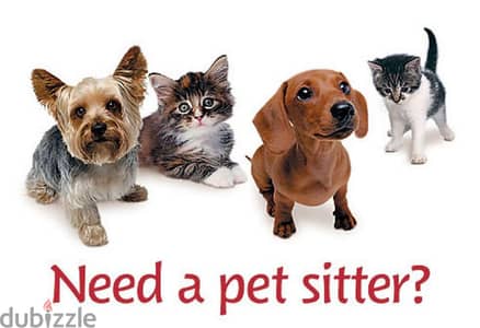 Pets, cats and small dogs Sitting