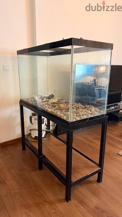 Large Glass Fish Tank with Stand