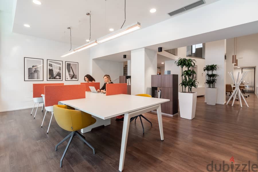 Coworking | Private offices from 1 to 15 desks 7