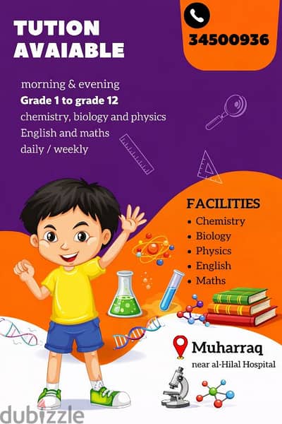 private tutor home based and at own academy