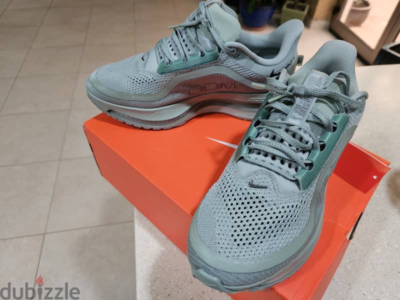 New NIKE Pegasus Premium shoes 1
