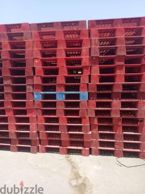 Wooden pallet and plastic pallet for cheap price 1