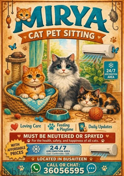 Cat Sitting
