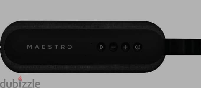 Maestro Ellipse Portable Speaker