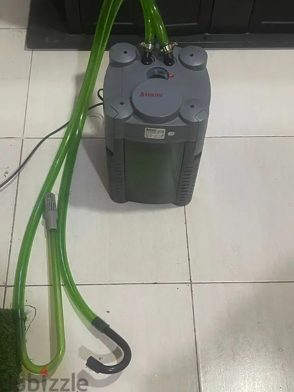 مرشح كانستر439003818902179841