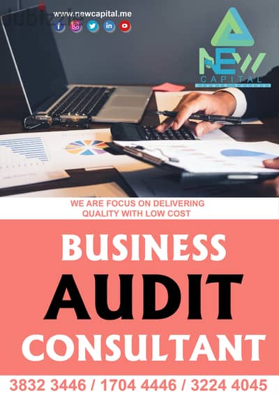 Business Audit Consultant