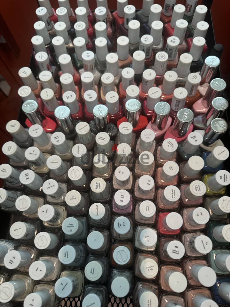 Salon Closing Down – Everything Must Go TODAY 2
