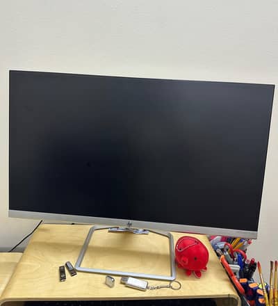 Computer Monitor