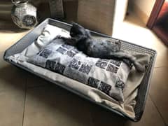 سرير راءع للقطط والكلاب Dog and cat day bed 0