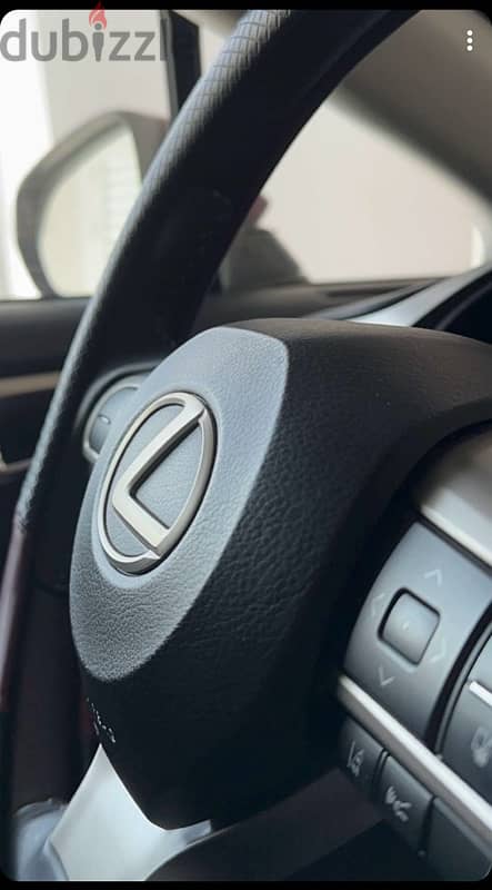 Lexus RX 350 Premium Burgundy 3